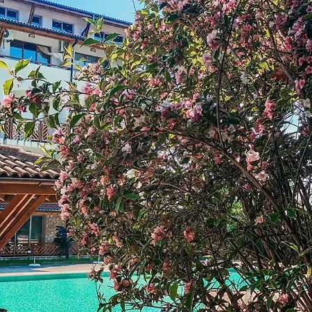 Mm Complex Apartmanhotel