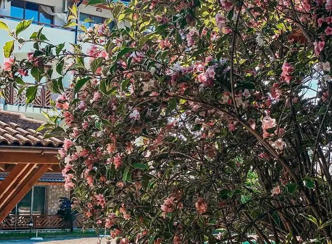 Mm Complex Апарт-отель